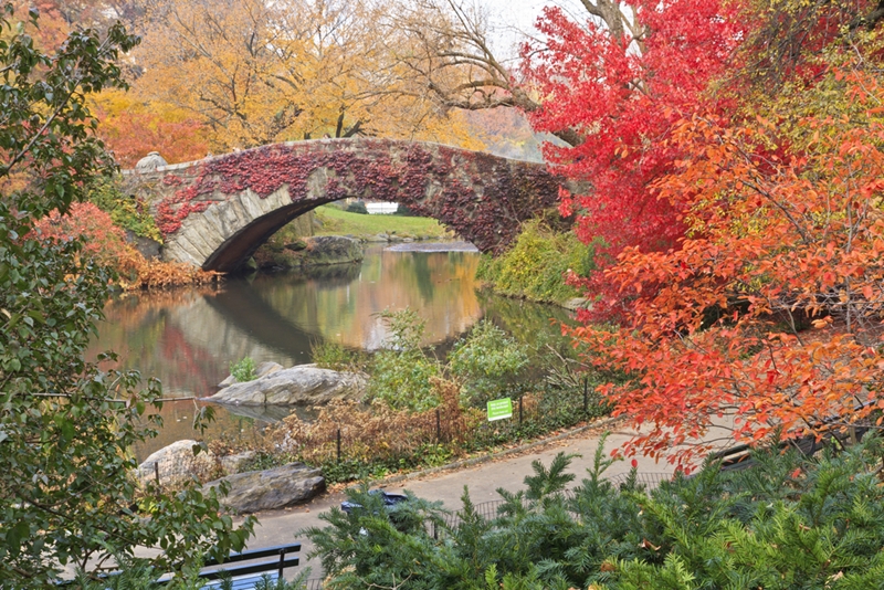 A lovely ivy covered backdrop can be a beautiful reminder of the season. 